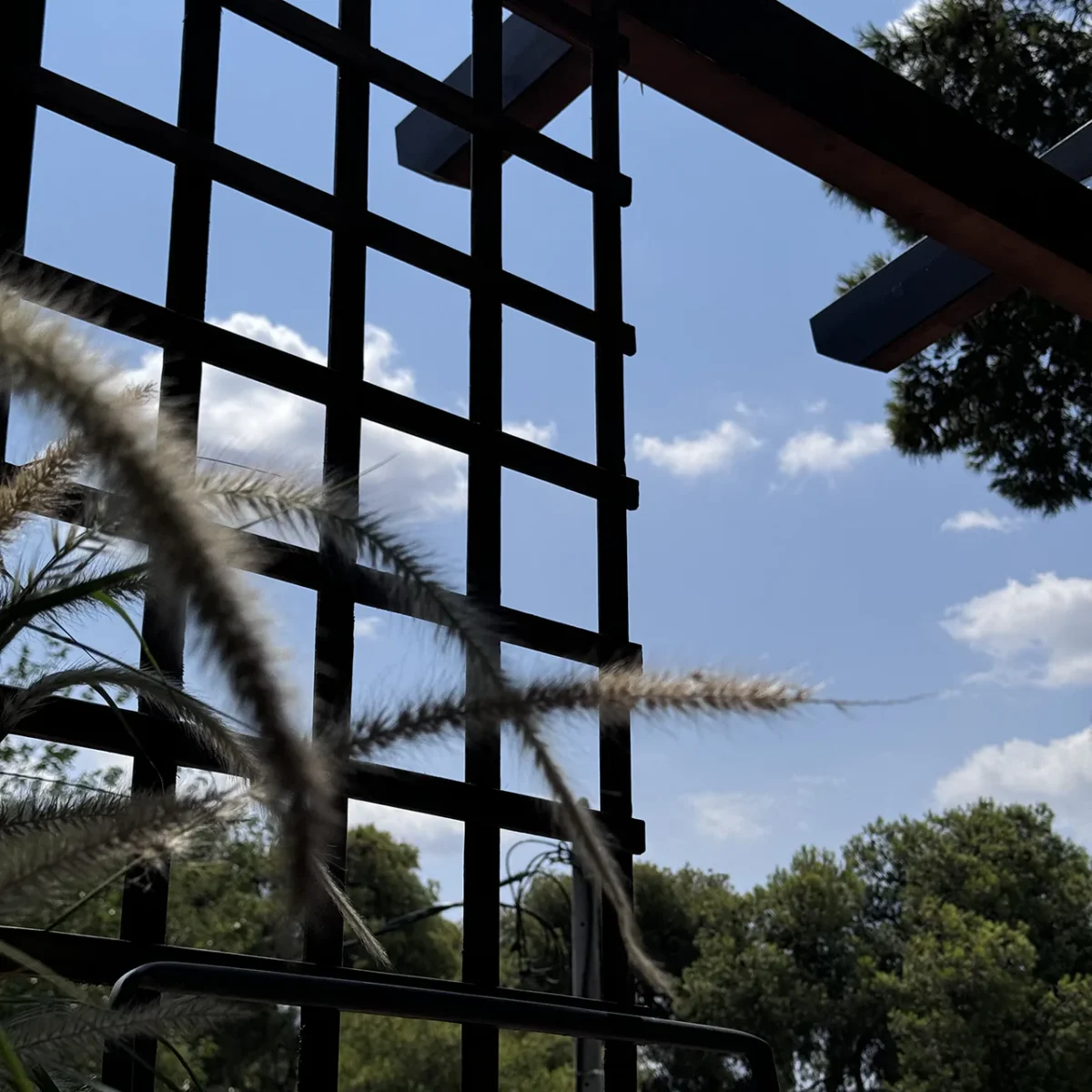 Ξύλινη πέργκολα με καφασωτό για αναρριχώμενο φυτό